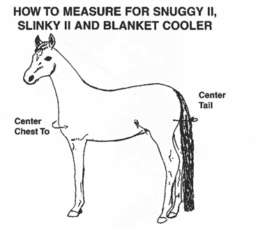 horse-measurements-3