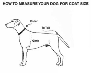 dog-measurements-4-300x242revised